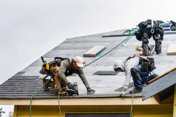 Professional Storm Damage Roof Repair technician working in Milledgeville, IL